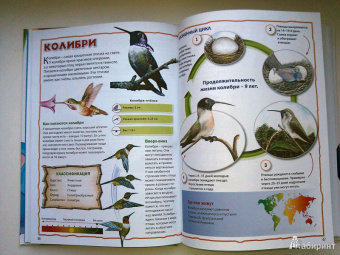 Энциклопедия животных для маленьких почемучек
