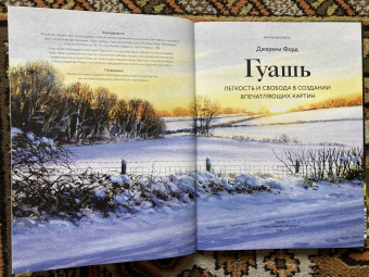 Джереми Форд: Гуашь. Легкость и свобода в создании впечатляющих картин