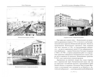 Елена Первушина: Мосты Петербурга. В прошлом, настоящем и будущем
