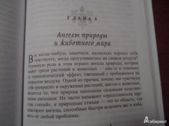 Дорин Вирче: Сила ангелов