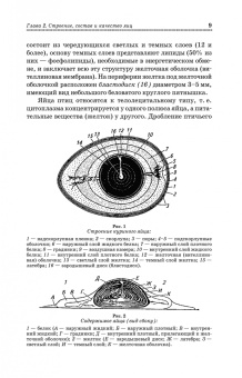 Бессарабов, Крыканов, Киселев: Инкубация яиц сельскохозяйственной птицы. Учебное пособие