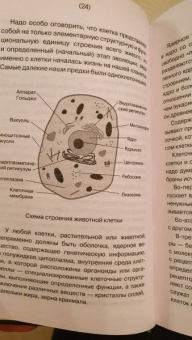 Андрей Шляхов: Биология для тех, кто хочет понять и простить самку богомола