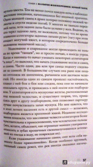 Владимир Динец: Песни драконов. Любовь и приключения в мире крокодилов и прочих динозавровых родственников