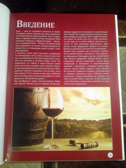 Марк Шпаковский: Вино. Большой иллюстрированный гид