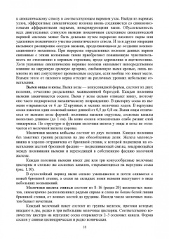 Федотов, Авдеенко, Белозерцева: Ветеринарная маммология. Учебник