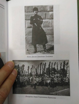 Андрей Венков: Атаман Краснов и Донская армия. 1918 год
