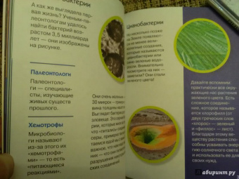 Алексей Хотылев: Как устроена Земля?