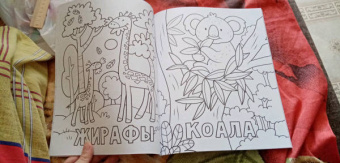 Раскраска. 100 любимых животных