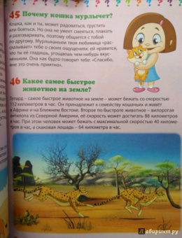 Тамара Скиба: Животный мир. Энциклопедия маленького почемучки