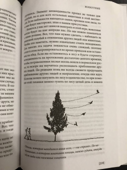 Тристан Гули: Компас внутри. Как не заблудиться в лесу, выследить животных, предсказать погоду