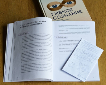 Шлейдер, Малларки, Добиас: Развиваем гибкое мышление