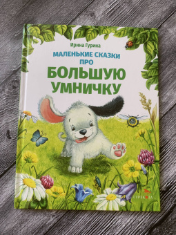 Ирина Гурина: Маленькие сказки про большую умничку
