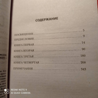 Никколо Макиавелли: История Флоренции