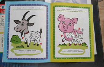 Цветной луг. Книжка-раскраска