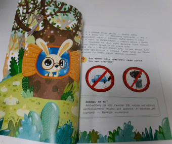 Елена Ульева: Порядок вокруг. Экологические сказки для детей