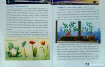 Оксана Балуева: Хочу знать. В вопросах и ответах