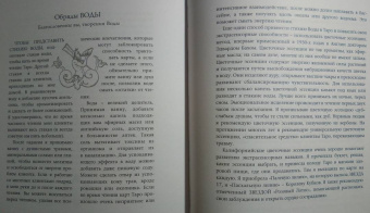 Сьюзен Левитт: Введение в Таро