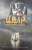 Альберто Васкес-Фигероа: Икар