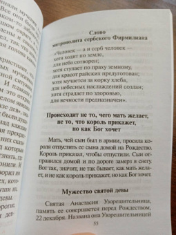 Святитель Николай Сербский (Велимирович): Духовные поучения и советы святителя Николая Сербского