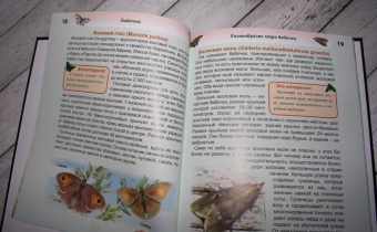 Людмила Соколова: Энциклопедия. Бабочки