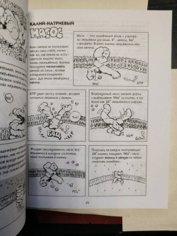 Гоник, Весснер: Биология. Краткий курс в комиксах