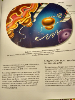 Боэрле, Ланда: Путешествие в мир клетки. Нескучная наука