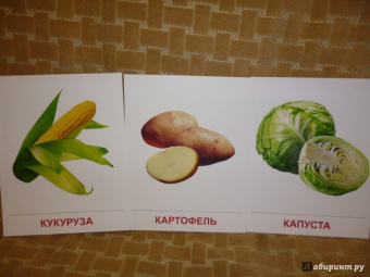 Татьяна Цветкова: Демонстрационные картинки "Овощи" (16 картинок)