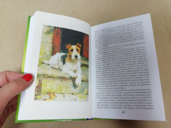 Клапка Джером: Трое в лодке, не считая собаки