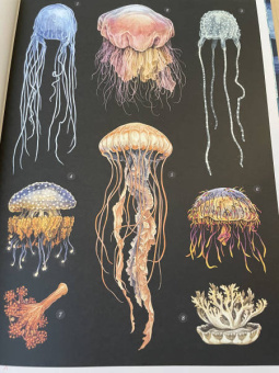 Лавдэй Триник: Океанариум