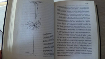 Эрик Кандель: В поисках памяти