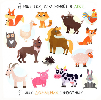 Алёна Лядова: Я ищу животных
