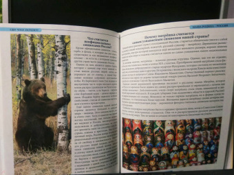 Людмила Соколова: Что? Где? Почему?