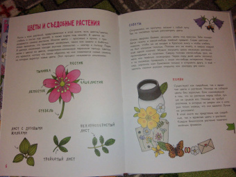 Эмма Янссон: Цветы и растения