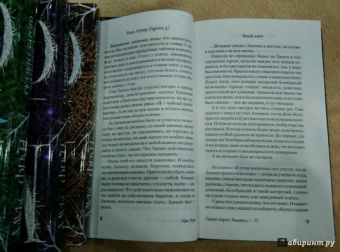 Макс Фрай: Сказки старого Вильнюса VI