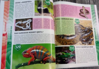 Тамара Скиба: Первая энциклопедия для мальчиков и девочек. 300 вопросов - 300 ответов