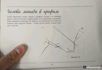 Рисуем лошадей. Альбом для скетчинга