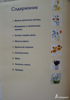 Кирси Цюльке: Рисуем цветы (акварель)