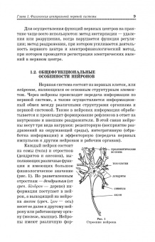 Медведев, Завалишина, Кутафина: Физиология мышечной и нервной систем. Учебное пособие