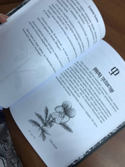 Колдовской Зелейник