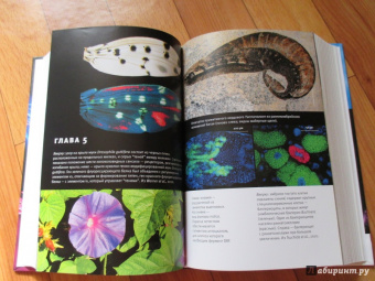 Марков, Наймарк: Эволюция. Классические идеи в свете новых открытий