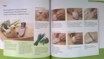 Карлота Маньес: 300 кулинарных техник. Вегетарианская кухня