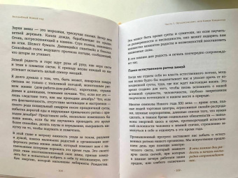 Бет Кемптон: Волшебный Новый год. Секреты радостных праздников без суеты и стресса