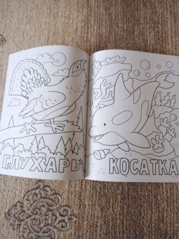 Раскраска. 100 любимых животных