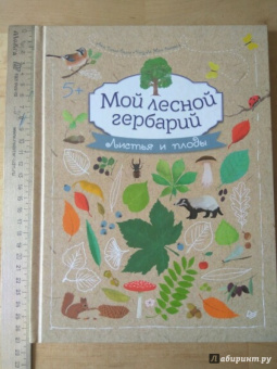 Анна Томас-Белли: Мой лесной гербарий