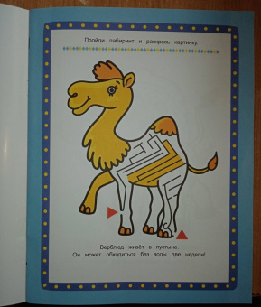 Весёлый зоопарк. Книжка-раскраска