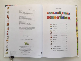 Селин Потард: Большой атлас животных