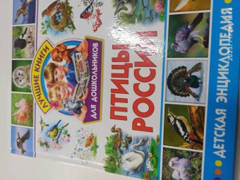 Птицы России. Детская энциклопедия