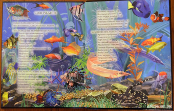 Лада Александрова: Хочу знать. Аквариумные рыбки