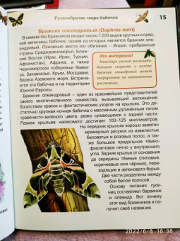 Людмила Соколова: Энциклопедия. Бабочки