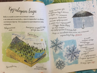 Барановская, Вайткене: Анатомия океана